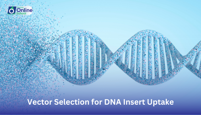 Lesson 07: Describing Vector Selection for DNA Insert Uptake